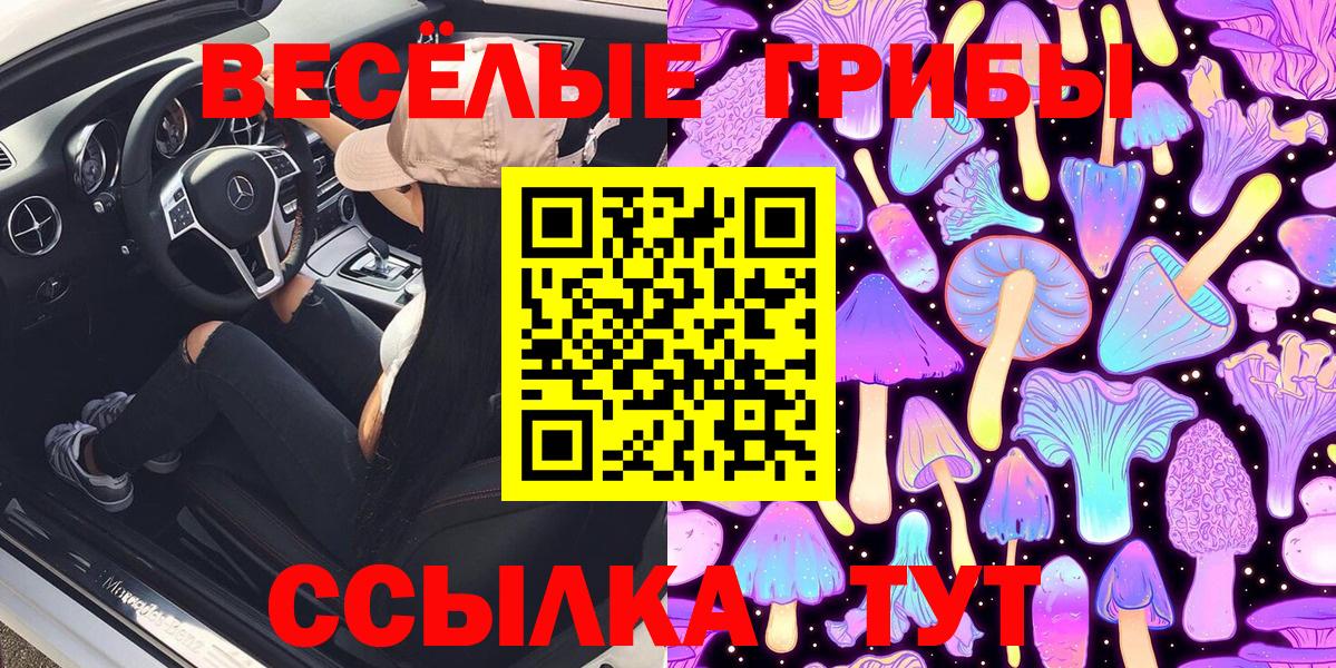 Псилоцибиновые грибы Psilocybe  Псилоцибиновые грибы Psilocybe  Вход с VPN  Ростов-на-Дону 